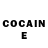Cocaine Fish Scale gamer gamegame