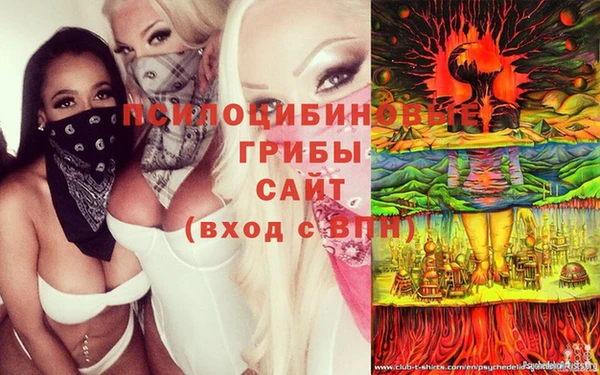 винт Богородск