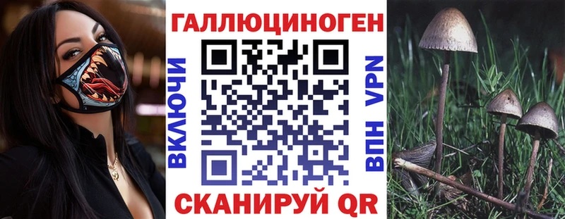 Купить  Елабуга  Галлюциногенные грибы мухоморы 
